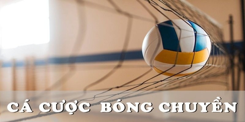 Đặt cược bóng chuyền hấp dẫn