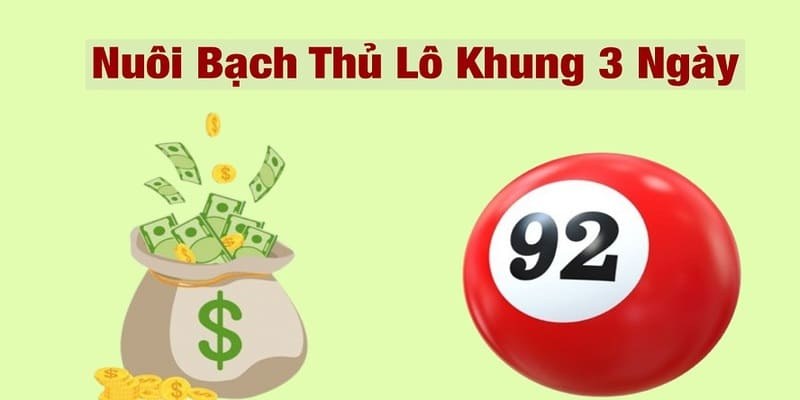 Khái quát lô bạch thủ khung 3 ngày