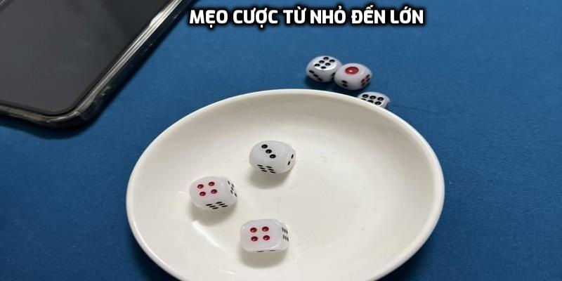 Mẹo cược từ nhỏ đến lớn