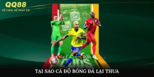 Tại Sao Cá Độ Bóng Đá Lại Thua